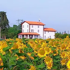 https://la-collinetta-bb.emilia-romagnahotels.net